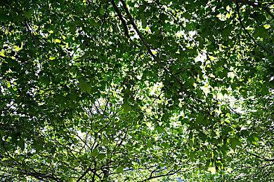 同天发售的《弥助模拟器》Steam获玩家“特别好评”