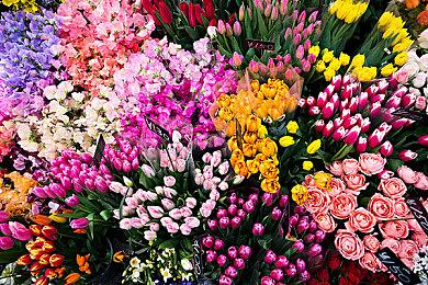 迎接万圣节：《麻布仔大冒险》将推出免费僵尸皮肤