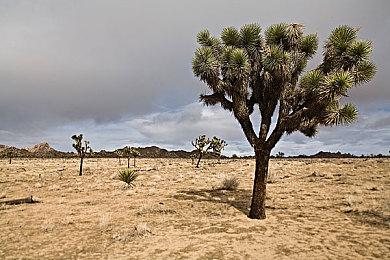 顽皮狗联合创始人揭秘当初为何选择被索尼收购